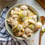 recettes saines à la mijoteuse